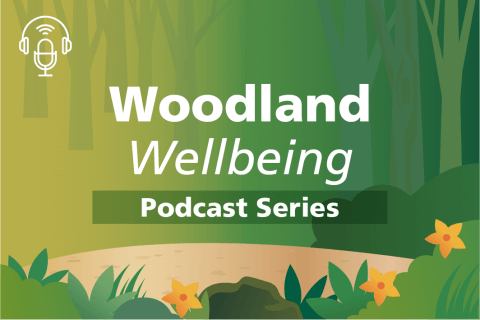 well being podcast