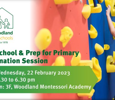 Preschool and Prep for Primary info session